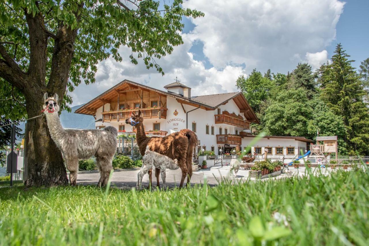Hotel Torgglerhof Bressanone Exterior foto